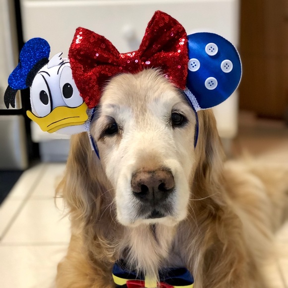 Meet your Posher, Debbie - Picture 4 of 8